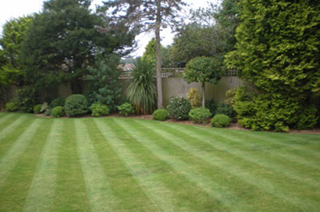 Garden Maintenance and Design