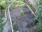 Raised herb garden (before)