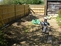 Town centre garden (before)