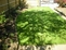 Town centre garden (after