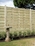 Garden Maintenance - Fencing
