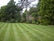 Garden Maintenance - Planting
