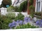 Garden Maintenance - Town Centre